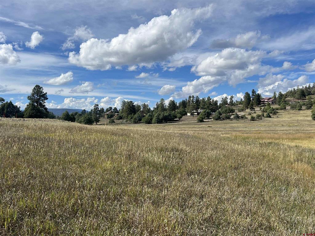 Pagosa Springs CO, 1361 Hersch