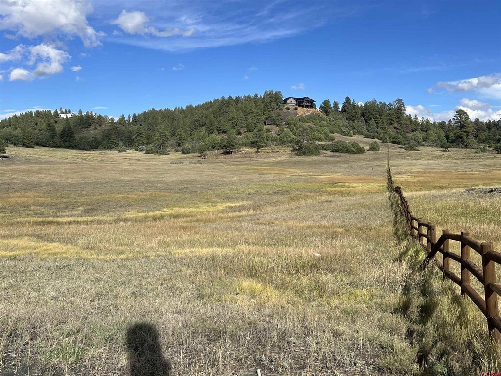 1361 Hersch Avenue Pagosa Springs CO 81147