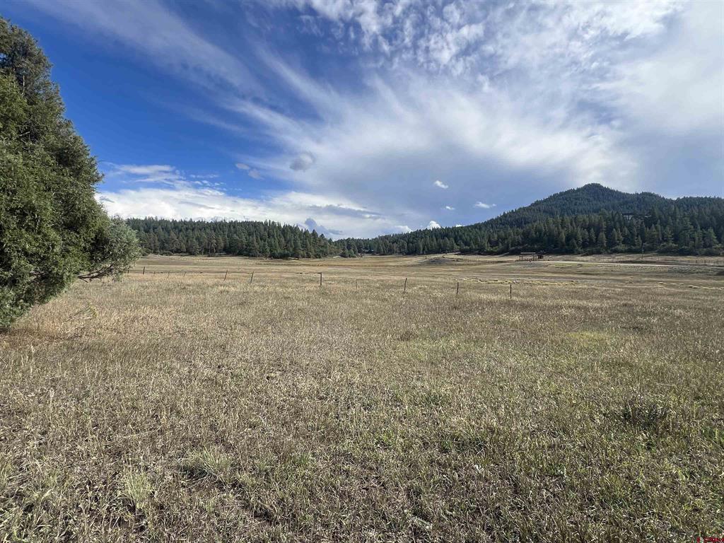1361 Hersch Avenue Pagosa Springs CO 81147