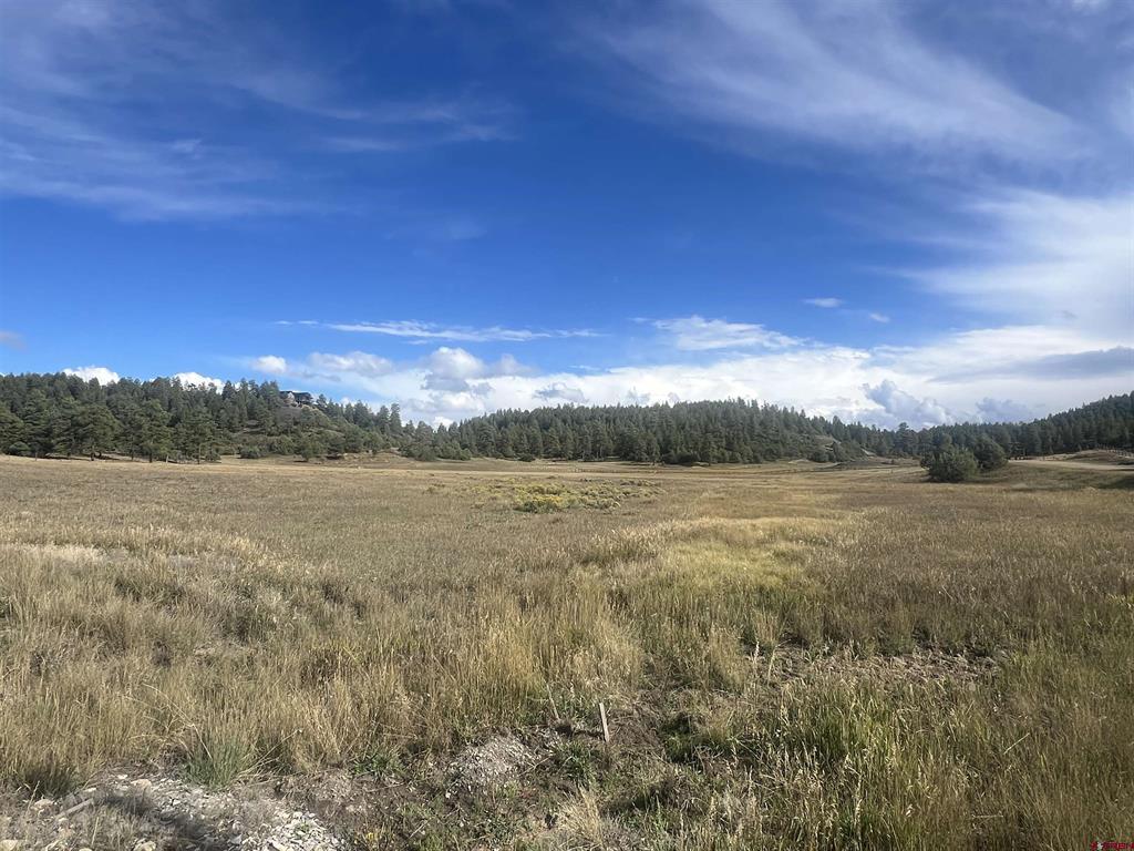 1361 Hersch Avenue Pagosa Springs CO 81147