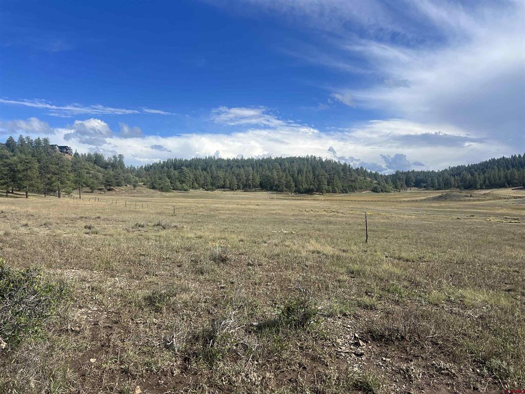 1361 Hersch Avenue Pagosa Springs CO 81147