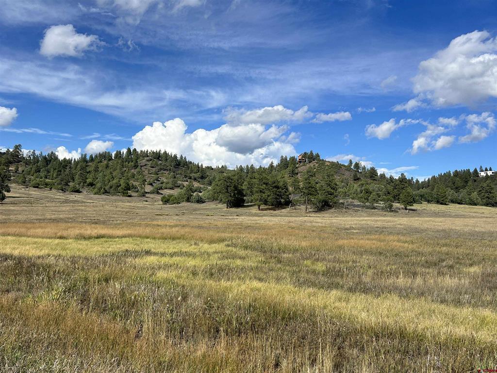 1361 Hersch Avenue Pagosa Springs CO 81147