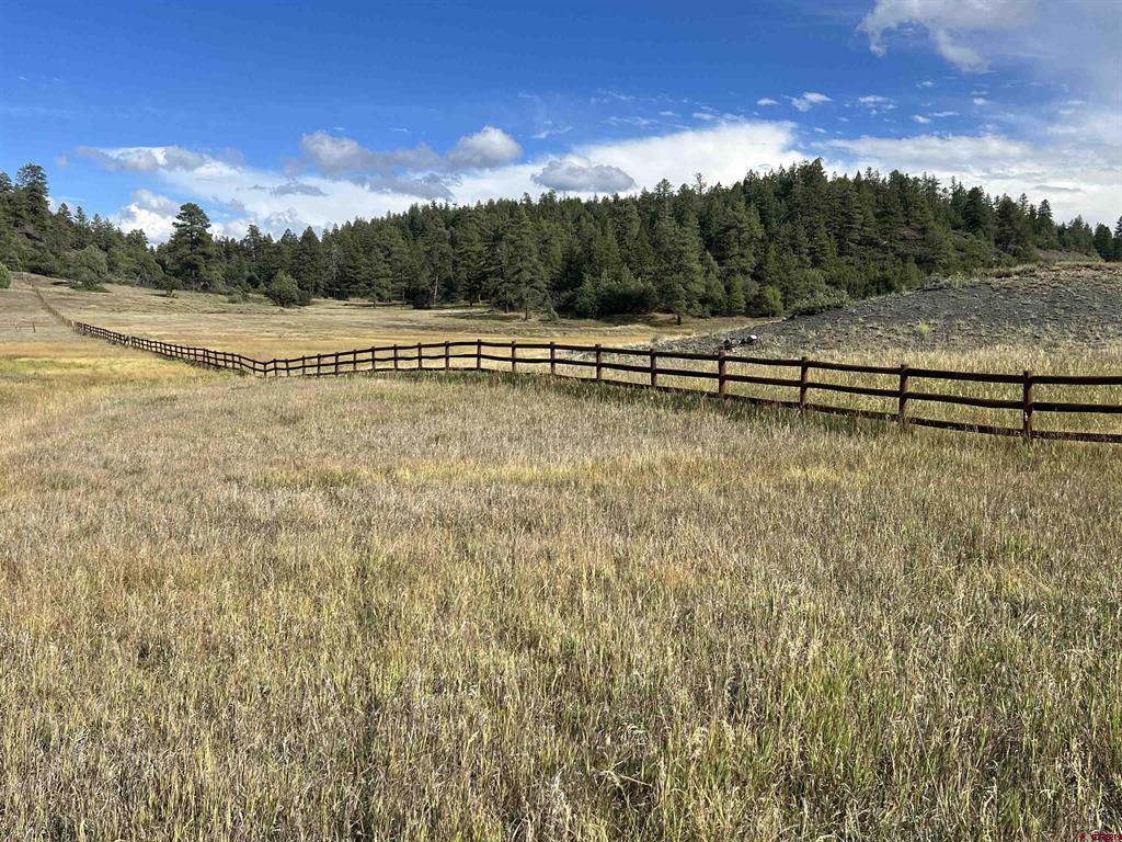 1361 Hersch Avenue Pagosa Springs CO 81147