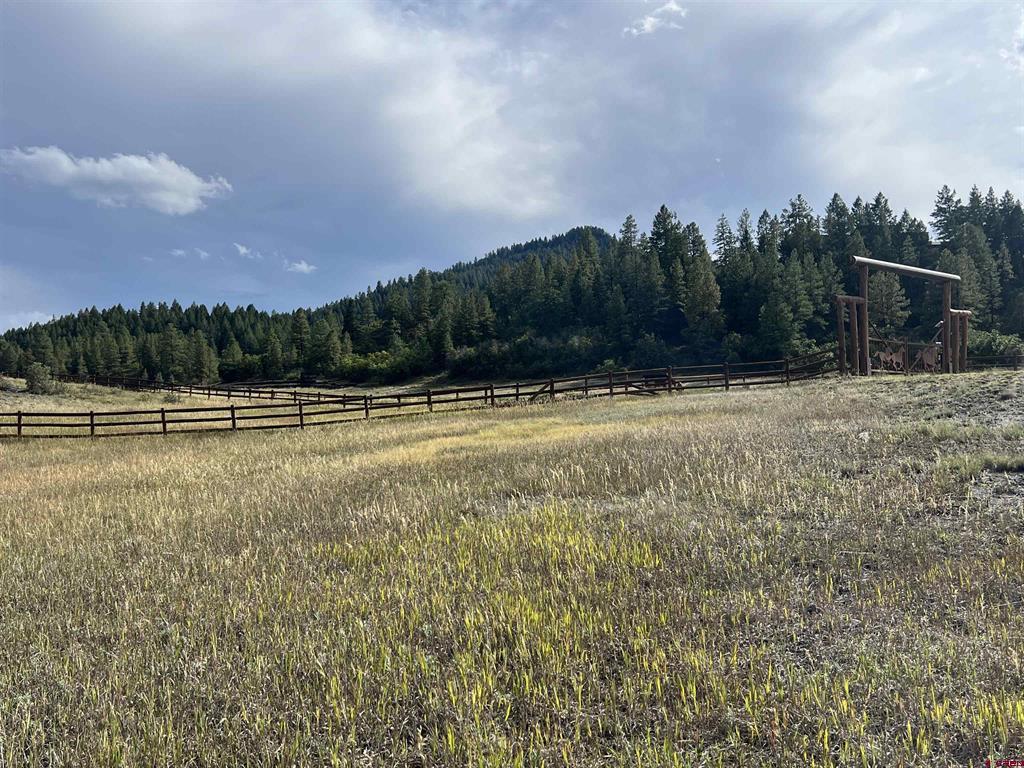 1361 Hersch Avenue Pagosa Springs CO 81147