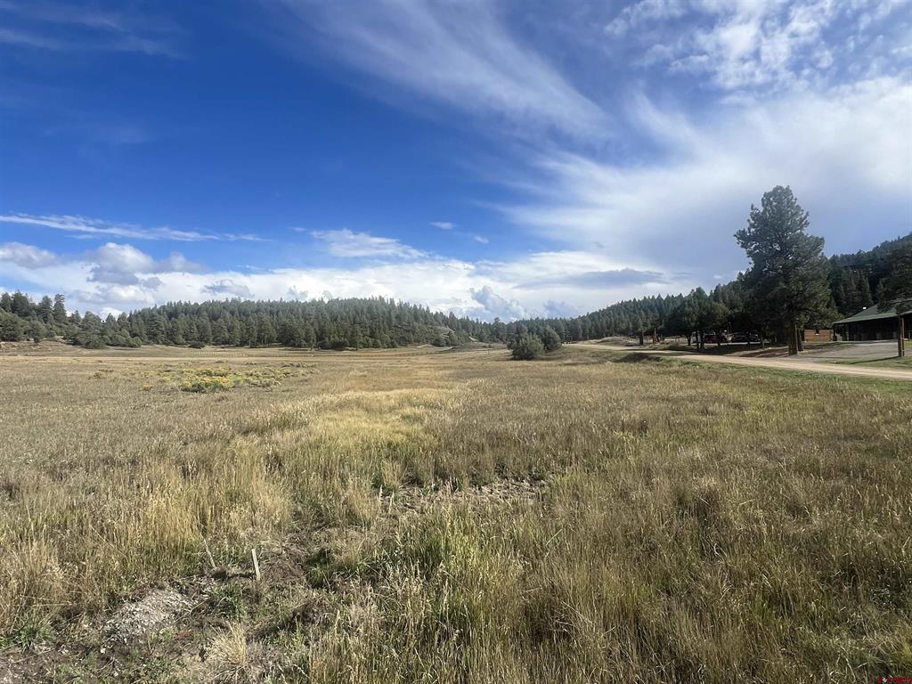 1361 Hersch Avenue Pagosa Springs CO 81147