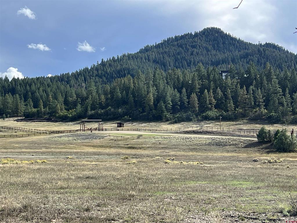 1361 Hersch Avenue Pagosa Springs CO 81147