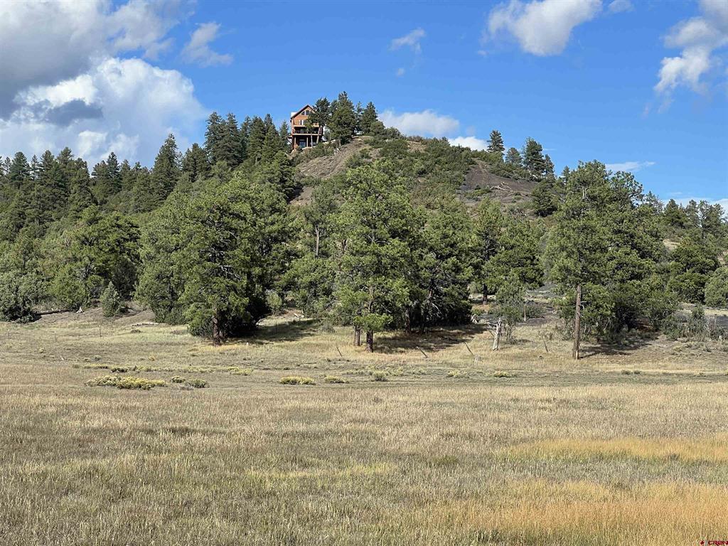 1361 Hersch Avenue Pagosa Springs CO 81147