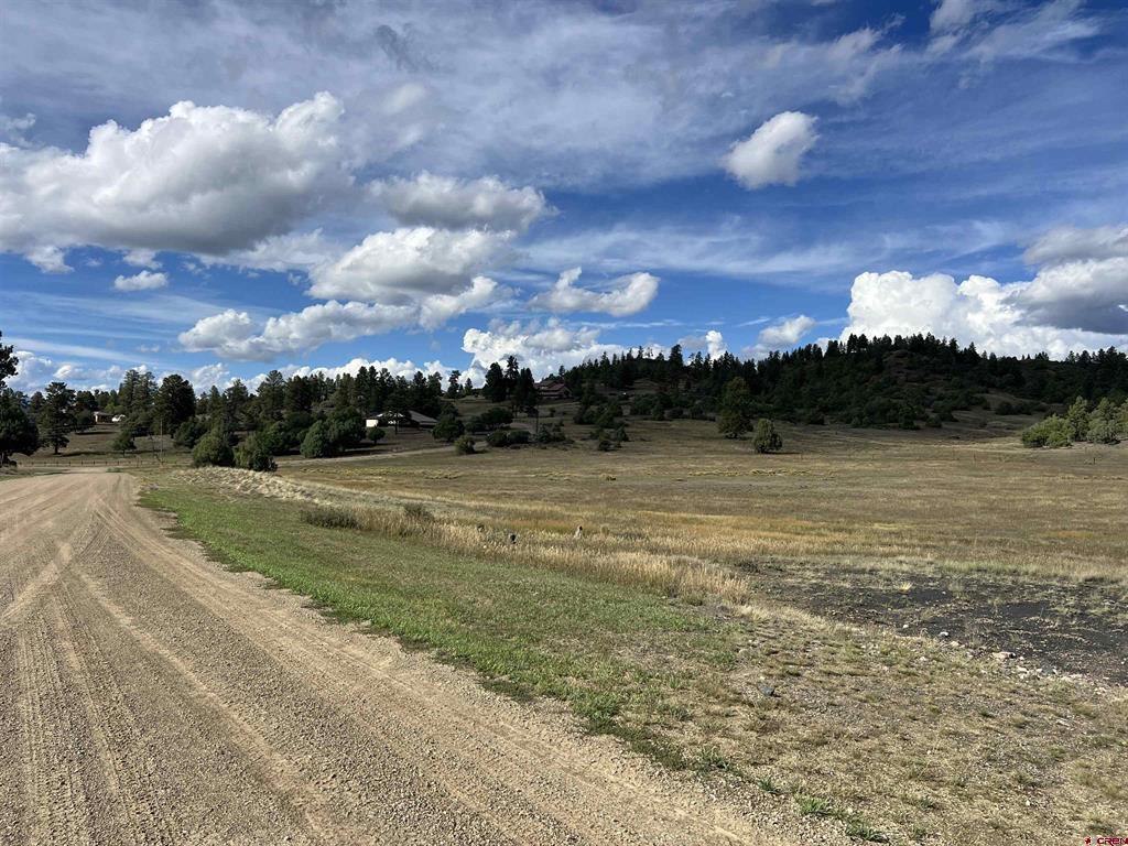 1361 Hersch Avenue Pagosa Springs CO 81147