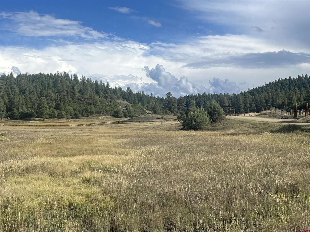 1361 Hersch Avenue Pagosa Springs CO 81147