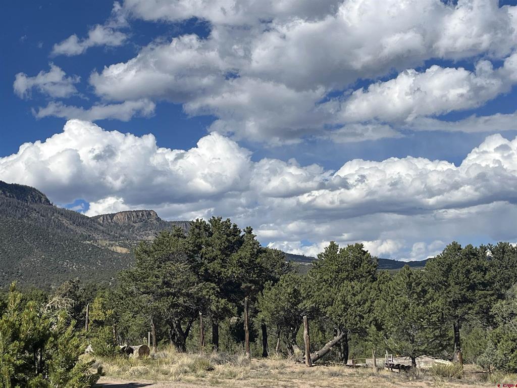 51 Winook Circle South Fork CO 81154