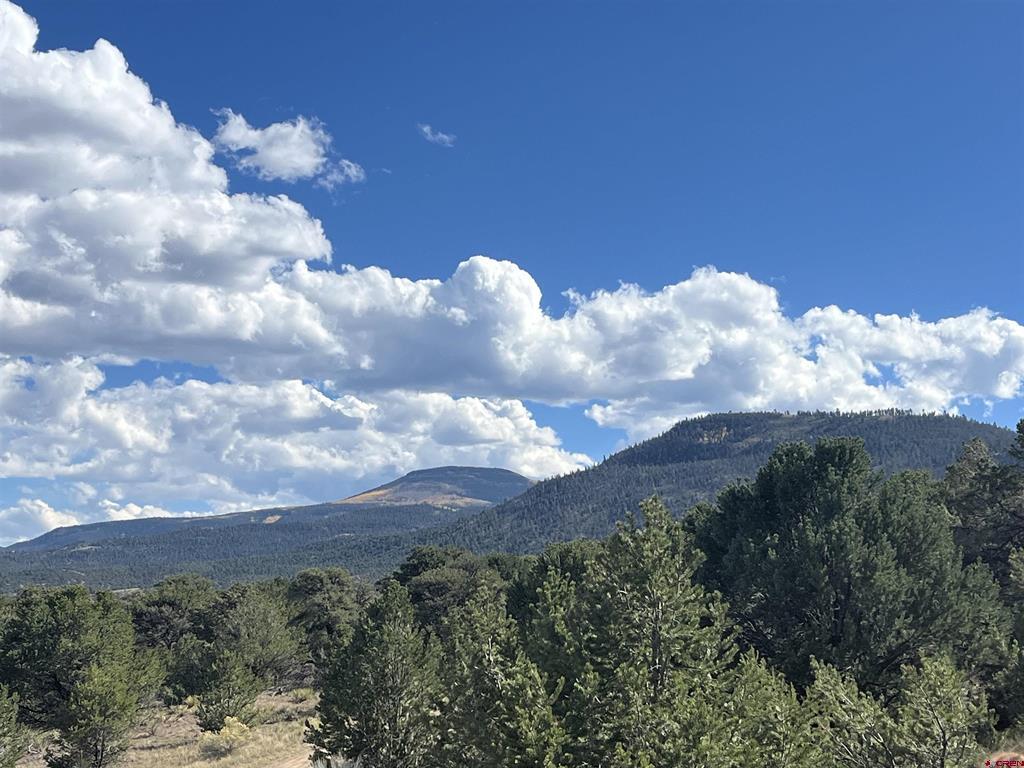 51 Winook Circle South Fork CO 81154