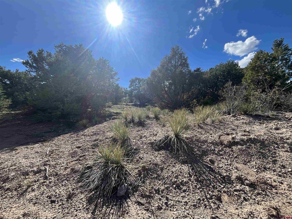 51 Winook Circle South Fork CO 81154