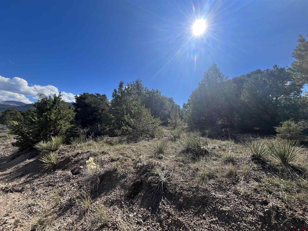 51 Winook Circle South Fork CO 81154