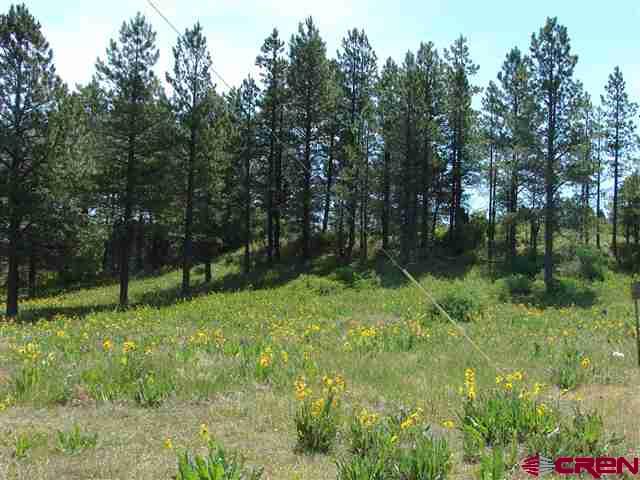 198 S Honeysuckle Avenue Pagosa Springs CO 81147