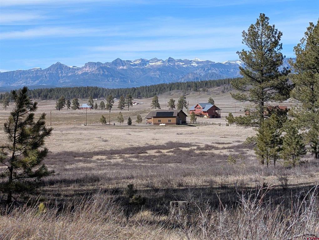 198 S Honeysuckle Avenue Pagosa Springs CO 81147
