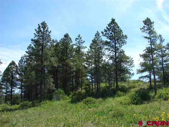 198 S Honeysuckle Avenue Pagosa Springs CO 81147
