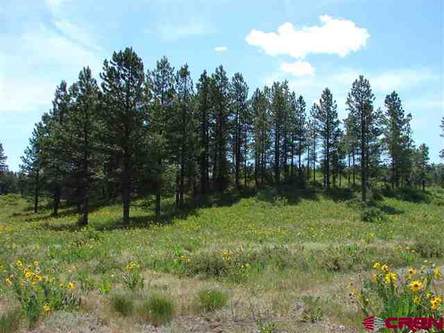 198 S Honeysuckle Avenue Pagosa Springs CO 81147