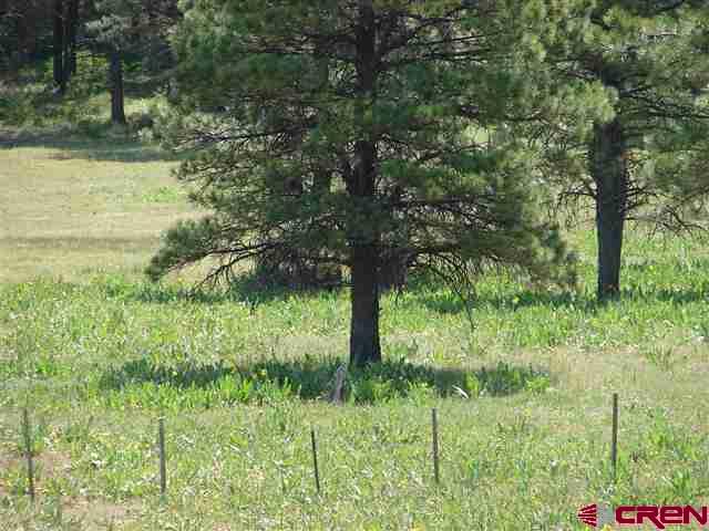 198 S Honeysuckle Avenue Pagosa Springs CO 81147