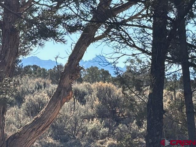 Lot 1 County Road 22b Montrose CO 81403