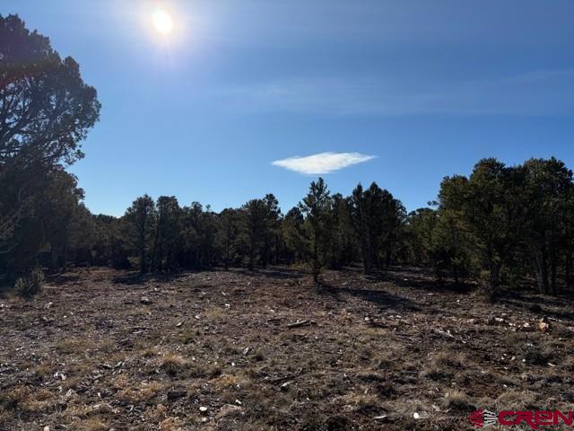 Lot 1 County Road 22b Montrose CO 81403