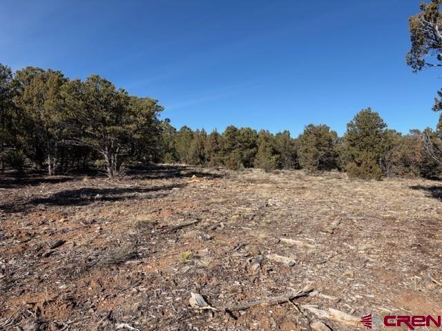 Lot 1 County Road 22b Montrose CO 81403