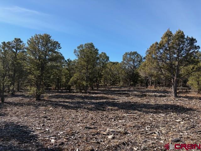 Lot 1 County Road 22b Montrose CO 81403