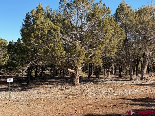 Lot 1 County Road 22b Montrose CO 81403
