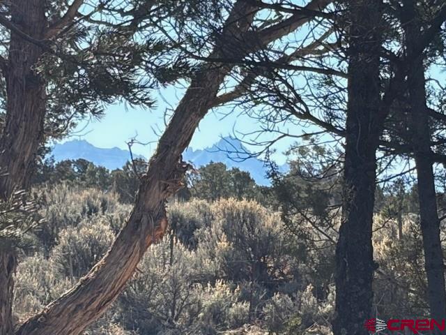 Lot 1 County Road 22b Montrose CO 81403