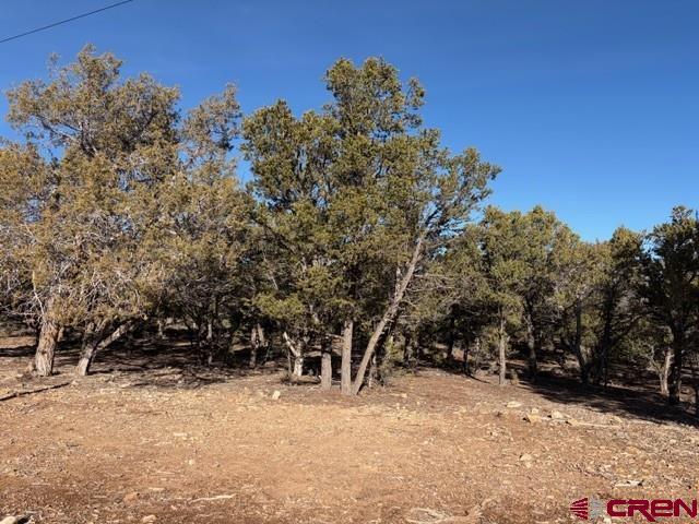 Lot 1 County Road 22b Montrose CO 81403