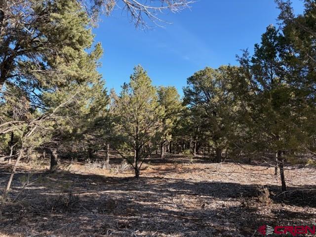 Lot 1 County Road 22b Montrose CO 81403
