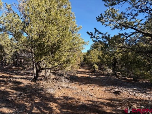 Lot 1 County Road 22b Montrose CO 81403