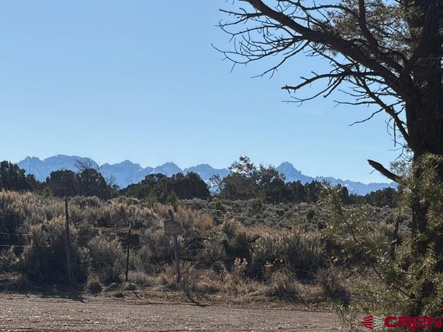 Lot 1 County Road 22b Montrose CO 81403