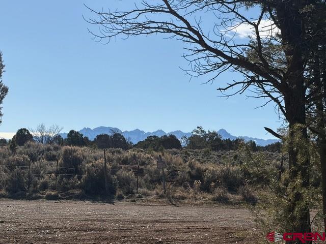 Lot 1 County Road 22b Montrose CO 81403