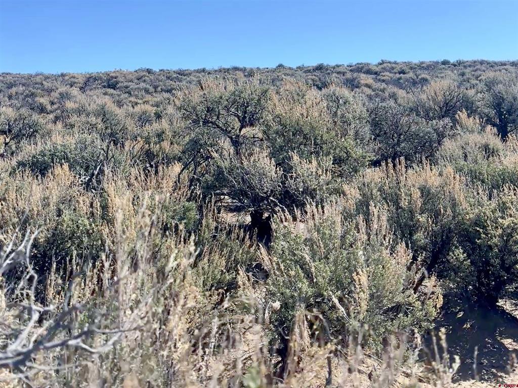 Lot 33 Unit R Blk 25 San Luis Valley Ranches San Luis CO 81152