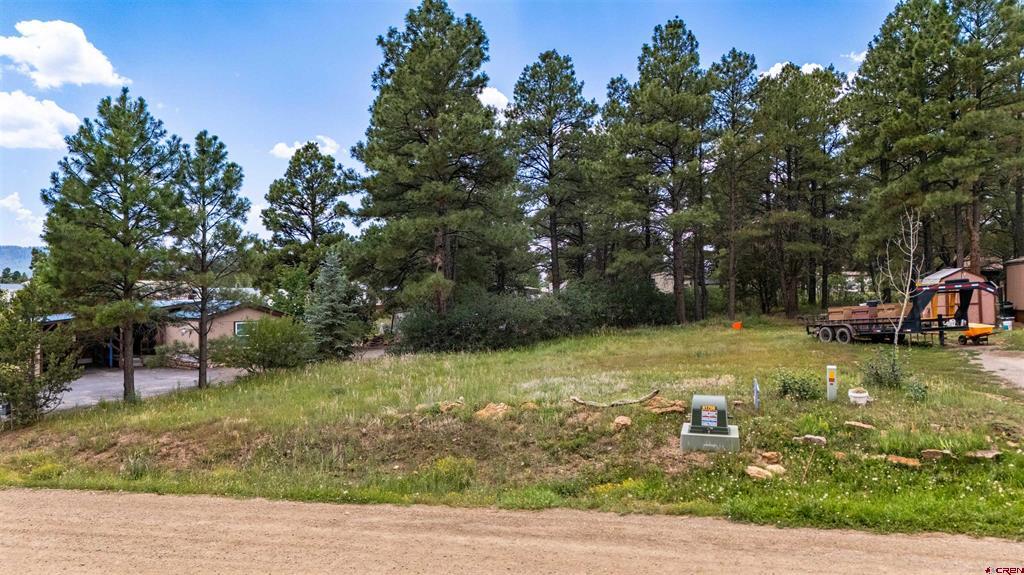 234 Fireside Street Pagosa Springs CO 81147