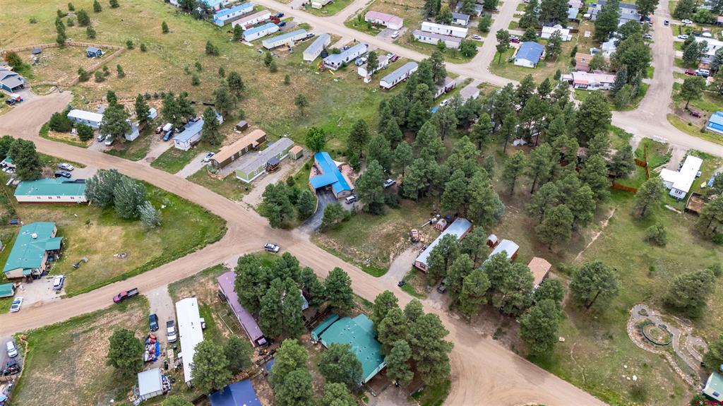 234 Fireside Street Pagosa Springs CO 81147