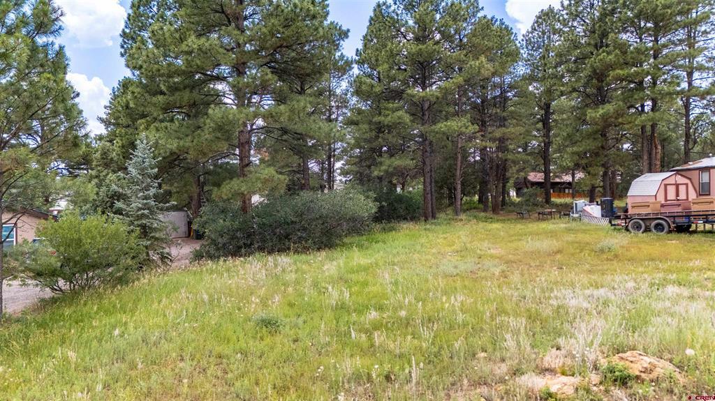 234 Fireside Street Pagosa Springs CO 81147
