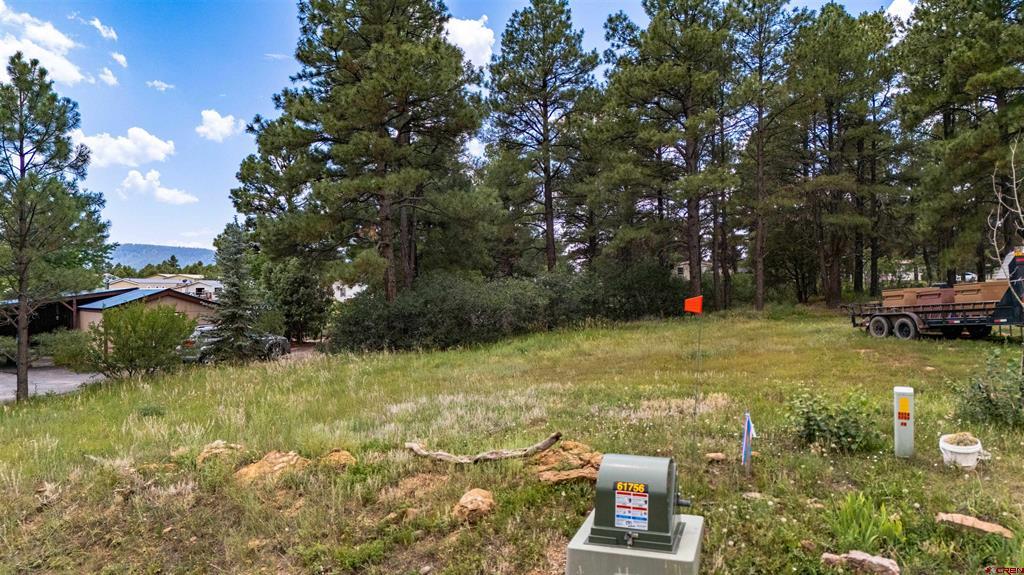 234 Fireside Street Pagosa Springs CO 81147