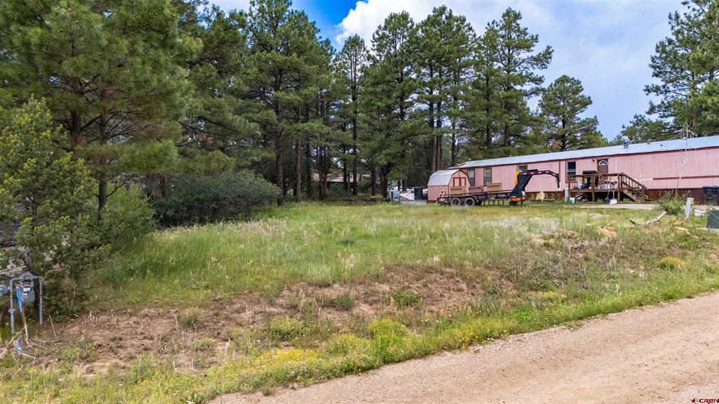 234 Fireside Street Pagosa Springs CO 81147