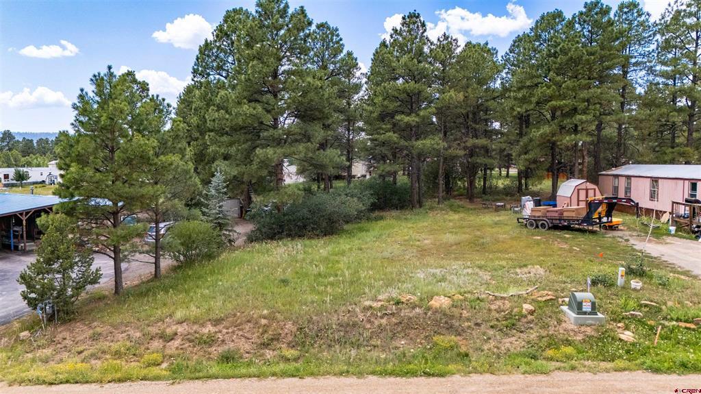 234 Fireside Street Pagosa Springs CO 81147