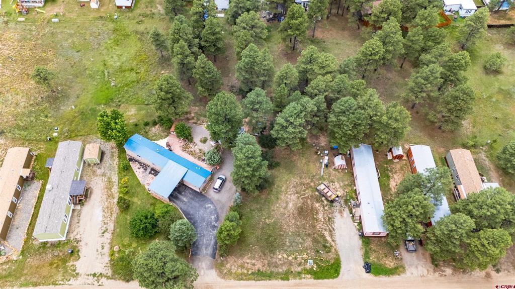 234 Fireside Street Pagosa Springs CO 81147