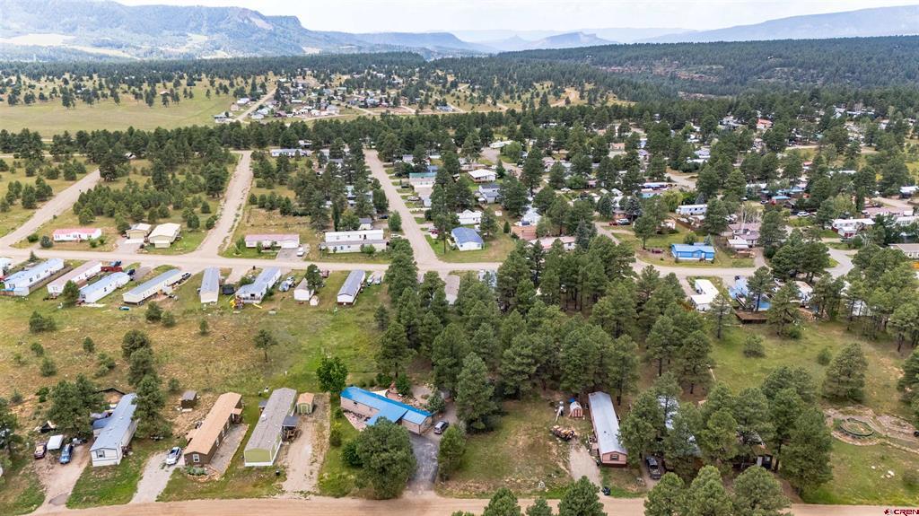 234 Fireside Street Pagosa Springs CO 81147