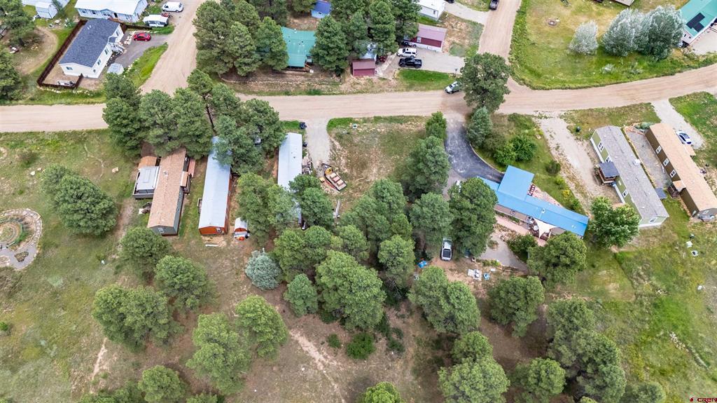 234 Fireside Street Pagosa Springs CO 81147