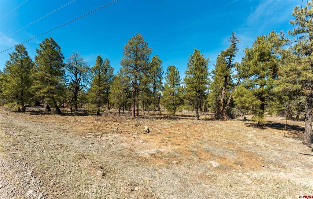 412 Coronado Circle Pagosa Springs CO 81147