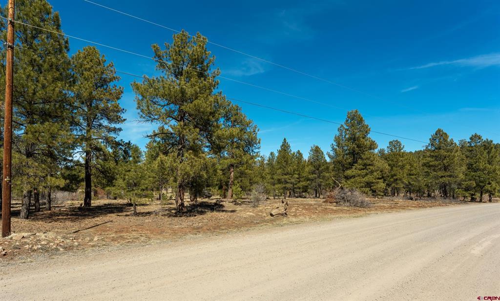 412 Coronado Circle Pagosa Springs CO 81147