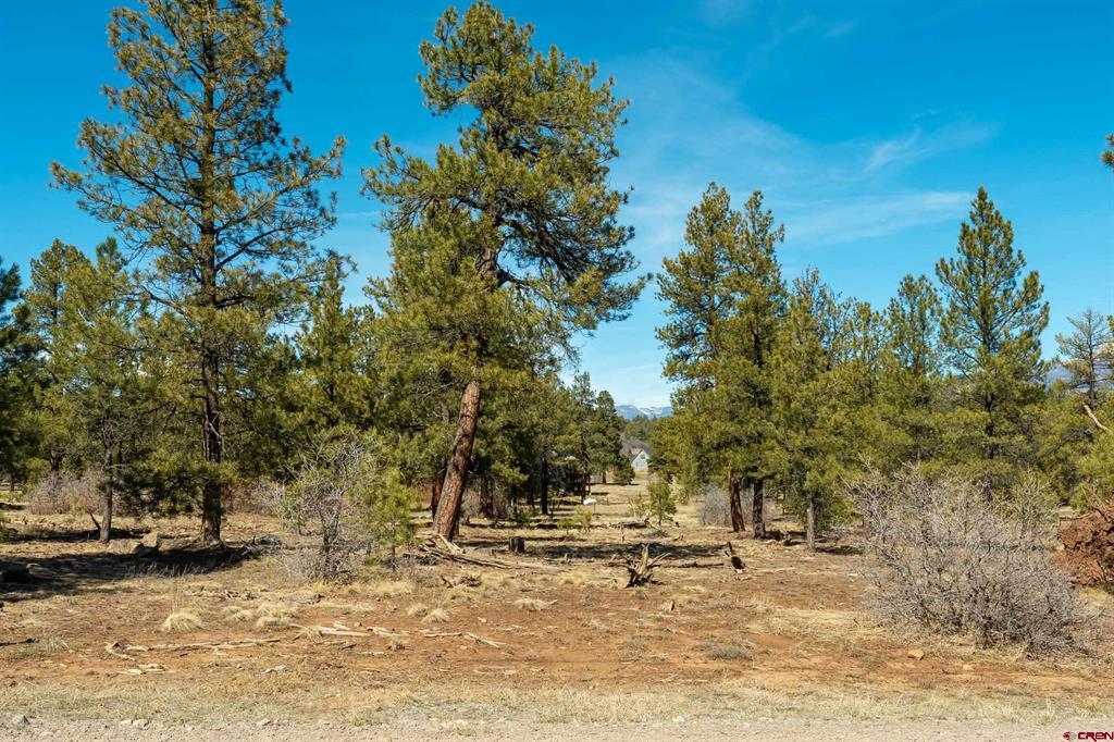 412 Coronado Circle Pagosa Springs CO 81147