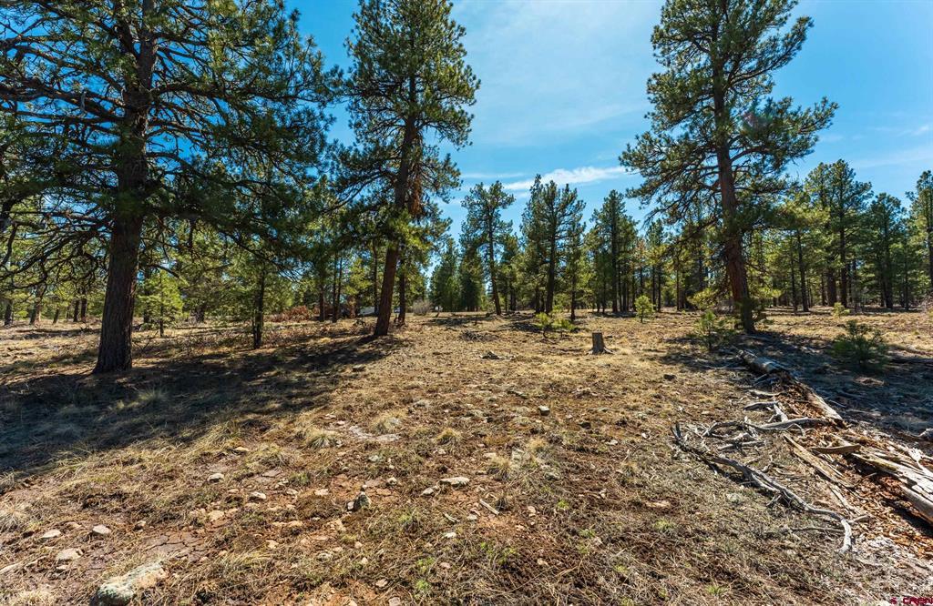 412 Coronado Circle Pagosa Springs CO 81147