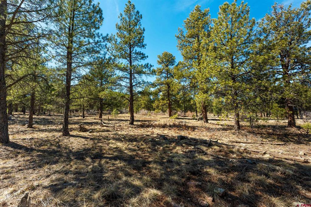 412 Coronado Circle Pagosa Springs CO 81147
