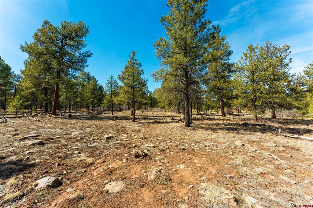 412 Coronado Circle Pagosa Springs CO 81147