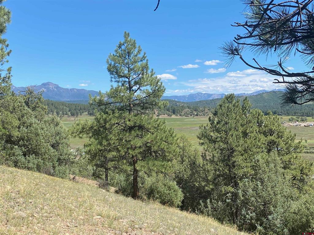 X Rumbaugh Road Pagosa Springs CO 81147